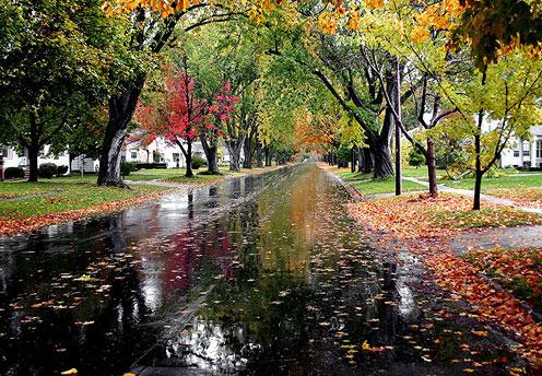 photo de la route après la pluie