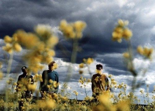 maleboqtq Male Bonding