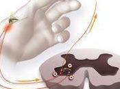 Pourquoi gratter soulage