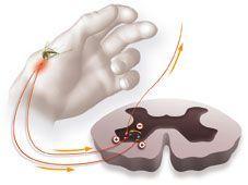 cp_47_004013_page_09_image_0002_w1