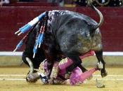 L'oeil était dans sable regardait Juan José Padilla