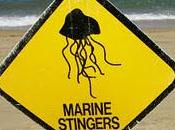 Australie pratique: dangers baignade dans Queensland ailleurs