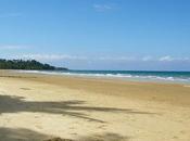 Autour Cairns: Mission beach, plage casoars