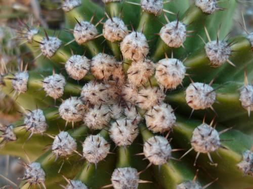 citations,société,écriture,littérature,culture