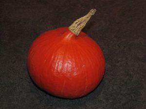 Cake au potimarron et pépites de chocolat IMG_2961