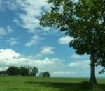 L’amour en héritage