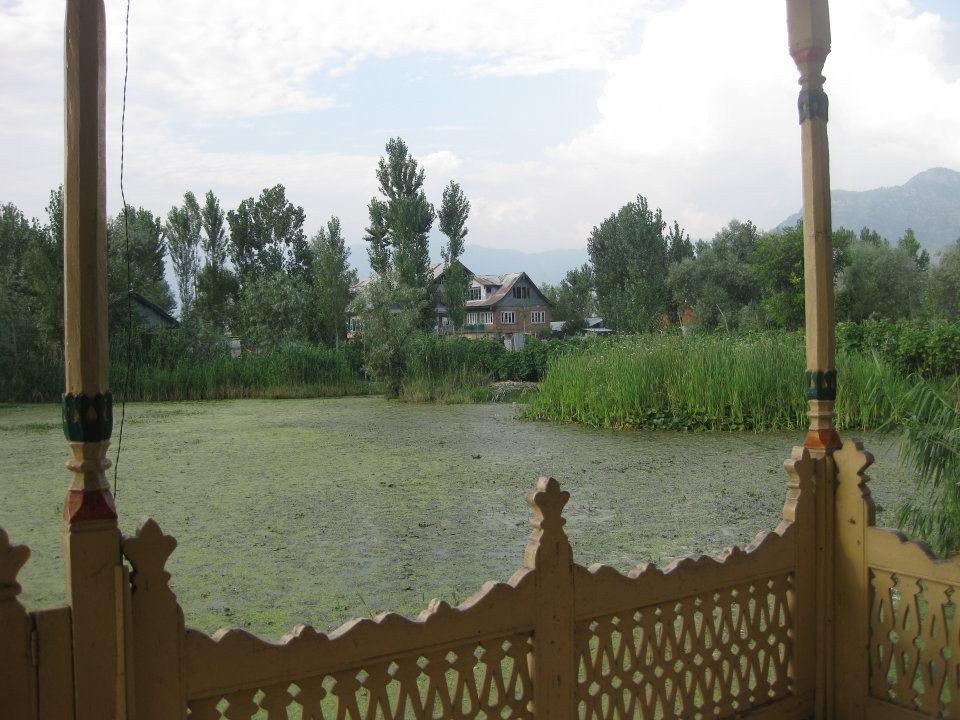 Magie du Kashmir , par Anjanita MAHADOO (Île Maurice).