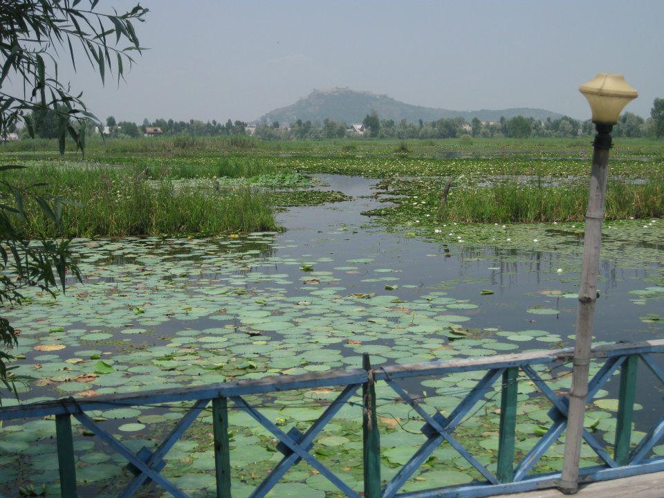 Magie du Kashmir , par Anjanita MAHADOO (Île Maurice).