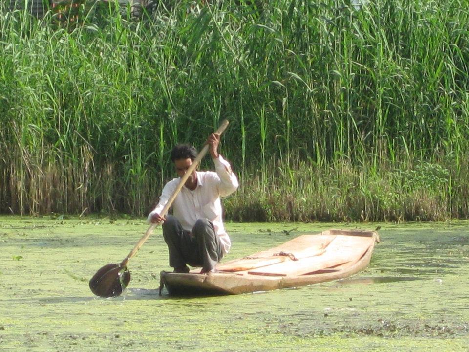 Magie du Kashmir , par Anjanita MAHADOO (Île Maurice).