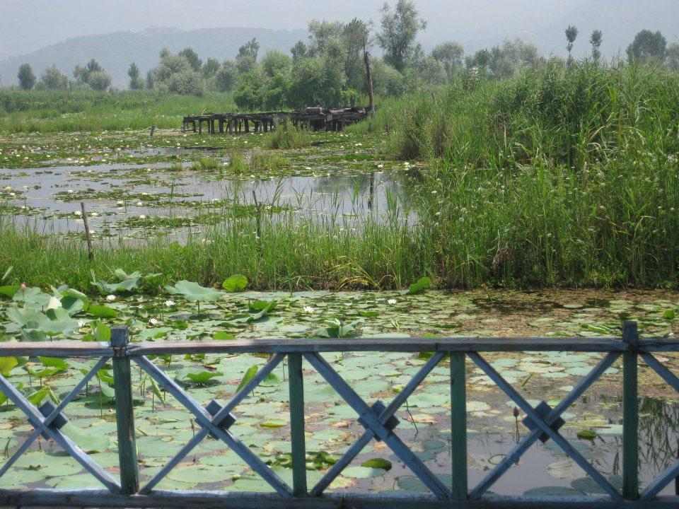 Magie du Kashmir , par Anjanita MAHADOO (Île Maurice).