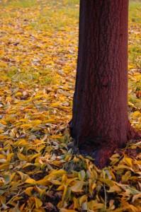 Octobre est là, la déprime revient.