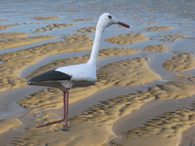 Les pieds dans le sable