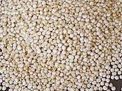 quinoa, cette petite graine mille vertus