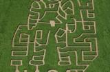 233847 orig 160x105 Des labyrinthes de maïs en hommage à la NASA