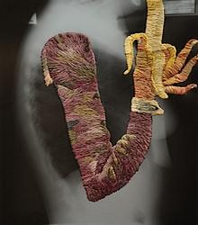 L'art de Mathhew Cox