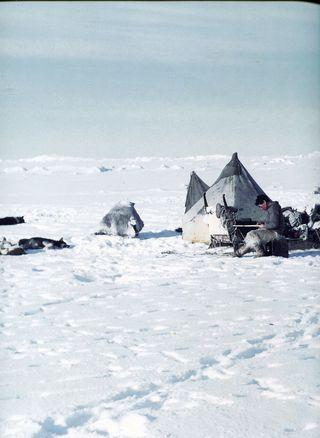 Inuit082
