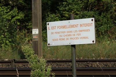 Au bord de la Moselle entre Fontenoy et Aingeray