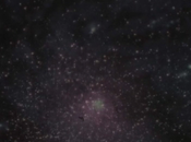 Video TASSEOMANCY DIANA