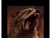 Demain, premier spot Breaking Dawn sera ligne