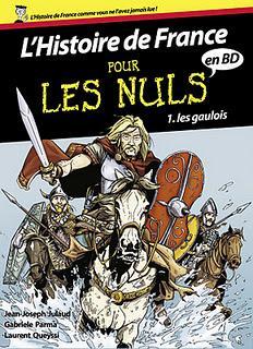 L'Histoire de France pour les Nuls en BD, T1. Les Gaulois. Ma BD du mercredi