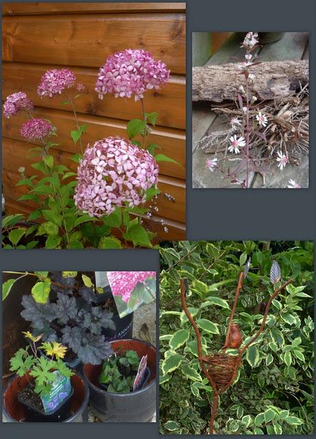 Me voilà revenue de la Fête des Plantes d'Orcher...Je vou...