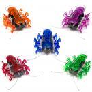 Hexbug : arrivée de cafards sur le blog !