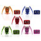 Hexbug : arrivée de cafards sur le blog !