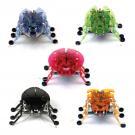 Hexbug : arrivée de cafards sur le blog !
