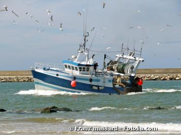 Alimentation : vers une certification européenne des produits issus de la pêche ?