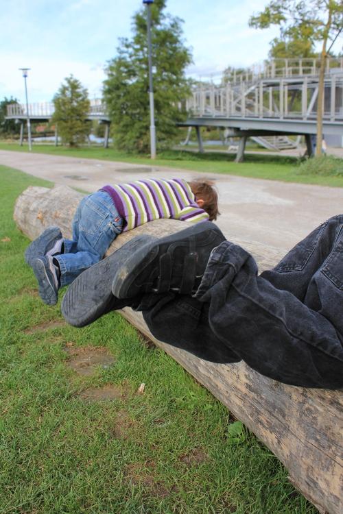 Tryptique Grey-Green (photos)