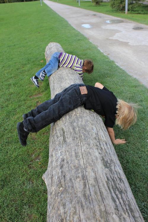 Tryptique Grey-Green (photos)