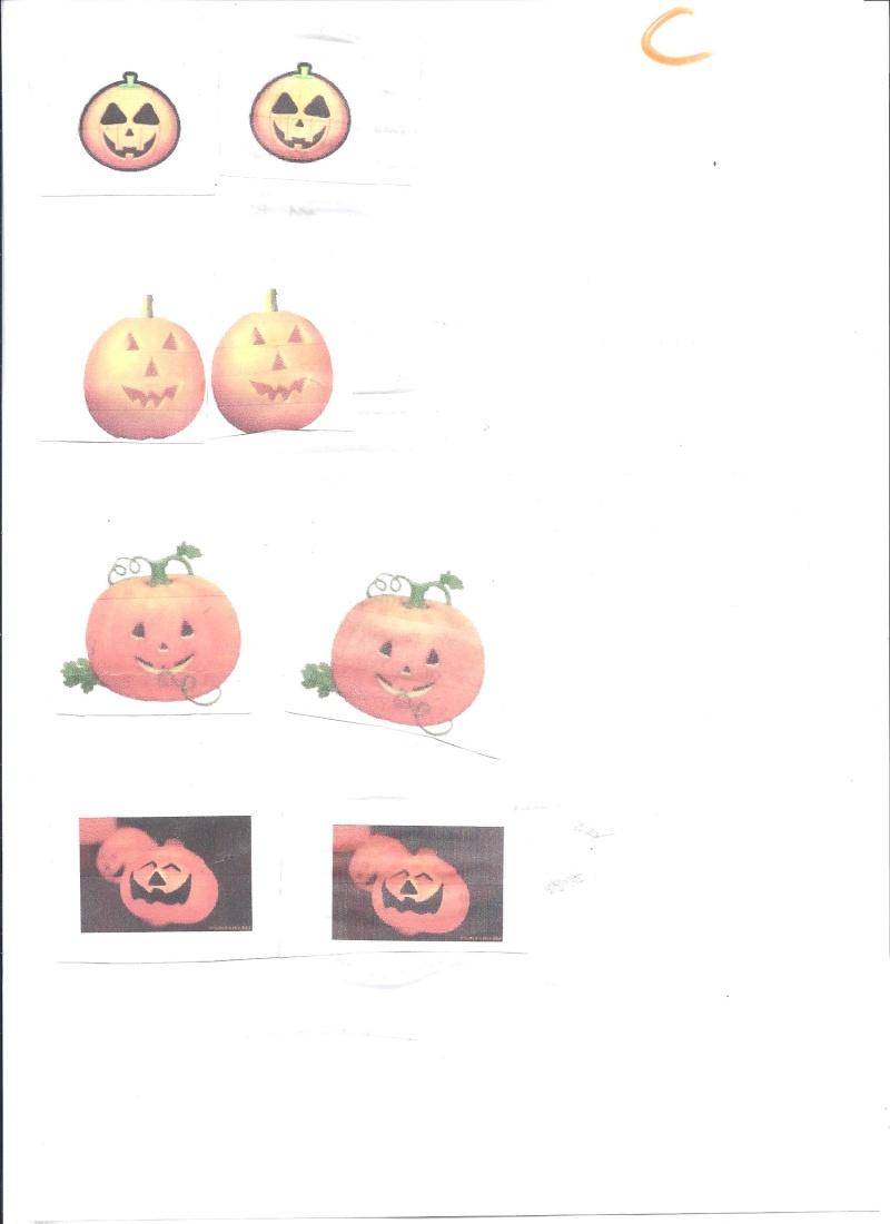 Image hébergée par servimg.com