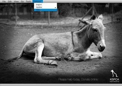 KSPCA_Donate_Online__Help_ibelieveinadv-412x291