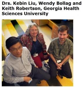 CANCER: Un extrait de champignon, la verticilline, booste les traitements – Cancer Research