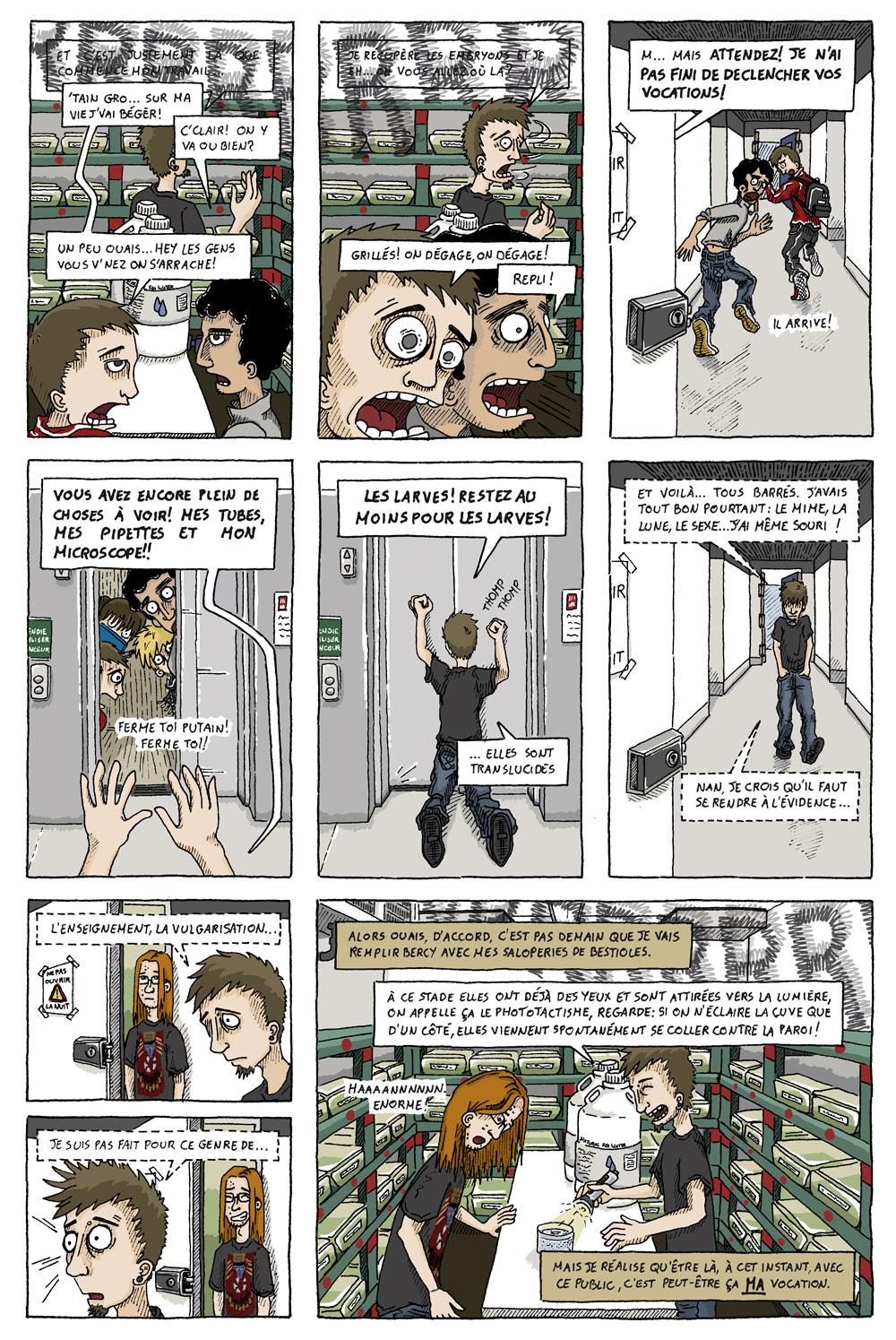 Platynereis dumerilii, vous prendrez bien un petit ver.