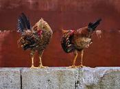 L'heureuse malheureuse