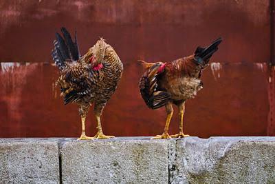 L'heureuse et la malheureuse