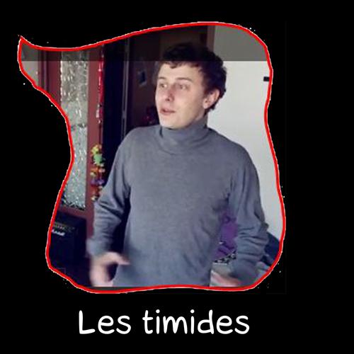 696 LES TIMIDES 500r