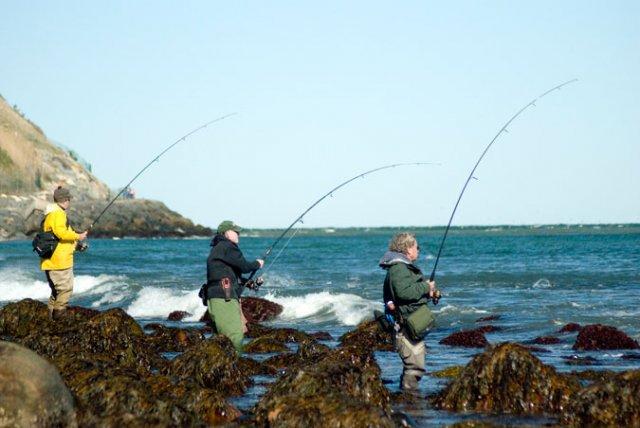 pêche montauk fishing