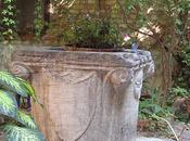 Palazzo Albrizzi, puits, mouton bleu