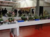 balcons fleuris Vauban-Esquermes.