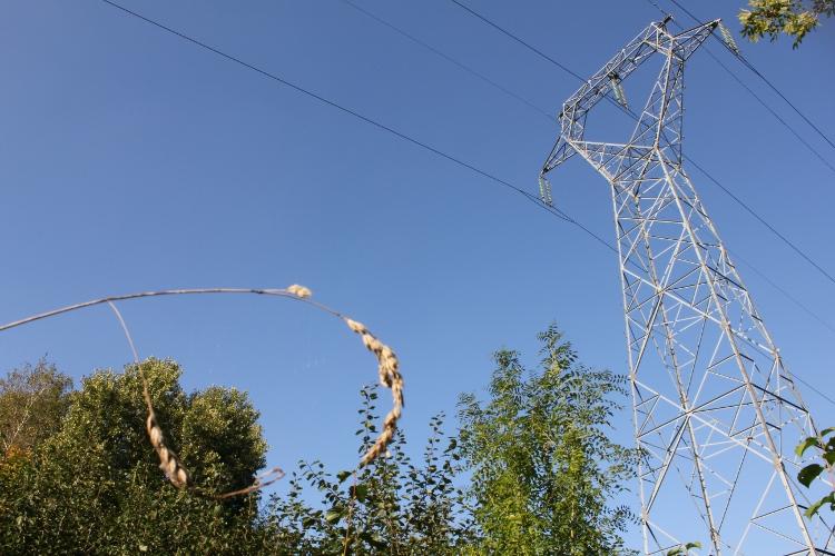 Monstres Urbains (invisibles) 4/4