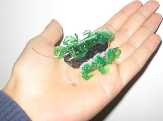 Premiers pas sur…Hexbug Ant