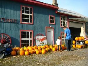 Que Faire à Montréal à l’Automne : Halloween, Route des Vins et Festivals !