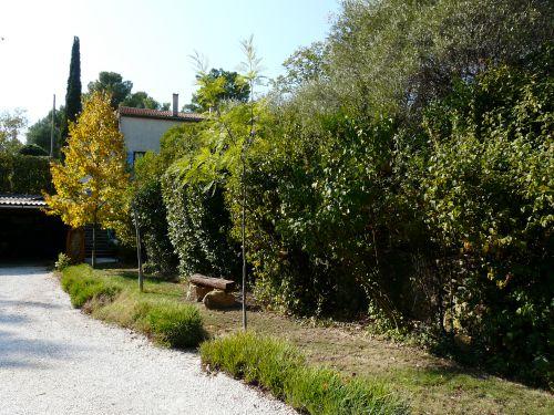 Chaleur, mistral et... douceur ! Journal du 14 octobre 2011