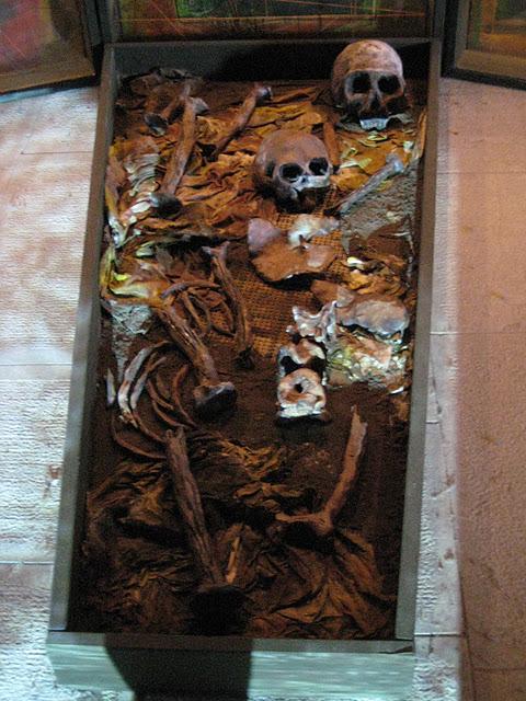 Exposition de la Biennale à Sant'Elena