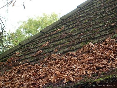 AUTOMNE - Projet photo 52 (semaine #41)