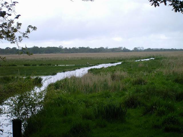 digression briéronne, emballage compris