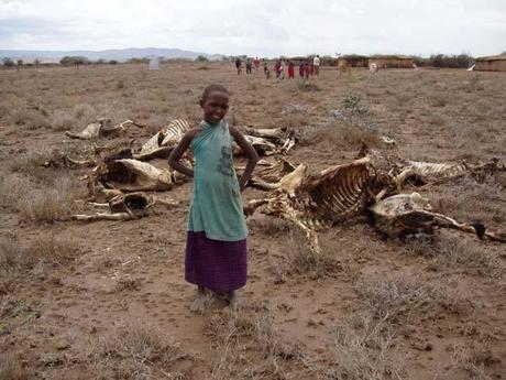 Afrique : plutôt mourir de faim que se nourrir d’OGM