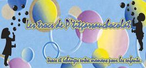 bannière blog trocs ptitgarsauchocolat copier